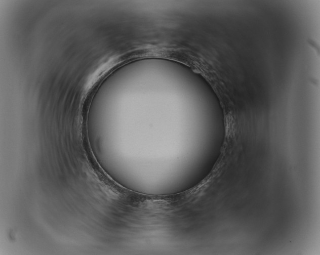 X0000101190150200807110953