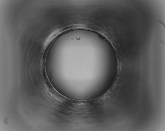 X0000101190151200807110953