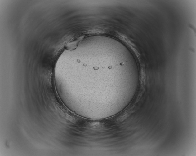 X0000101190153200807110953