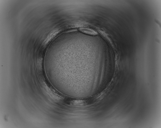 X0000101190154200807110953