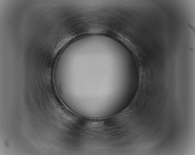 X0000101190155200807110953