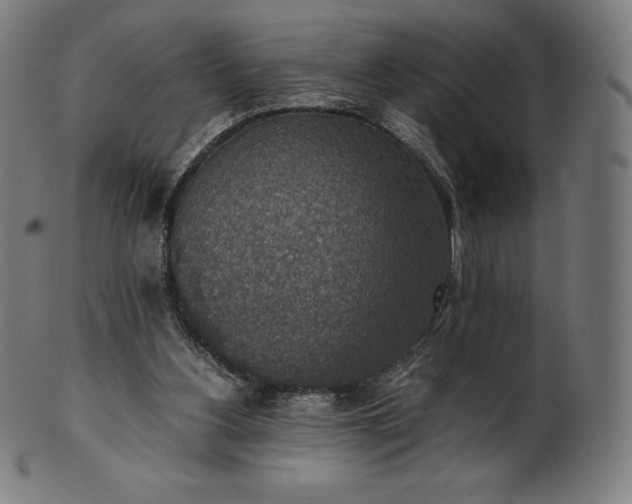 X0000101190156200807110953