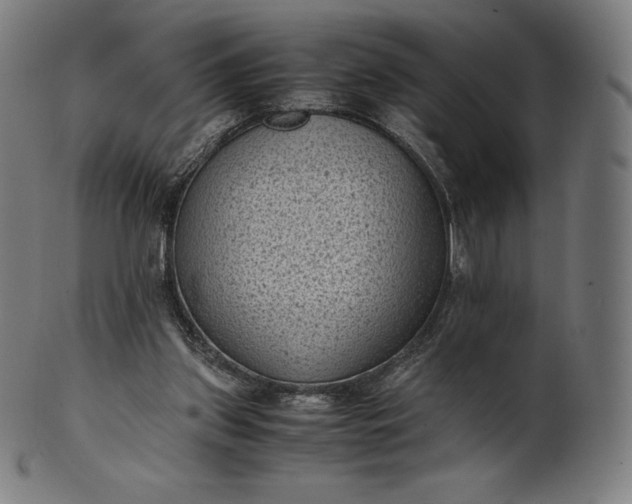 X0000101190157200807110953
