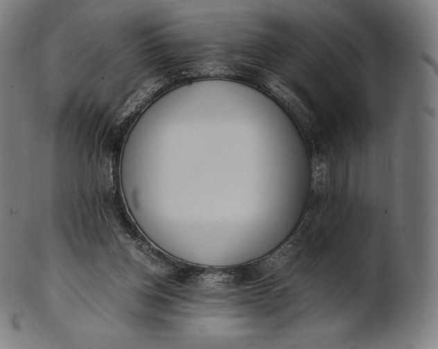 X0000101190158200807110953