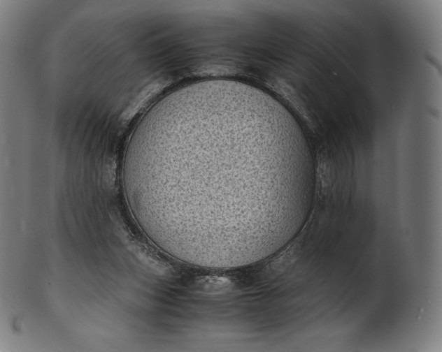 X0000101190159200807110953