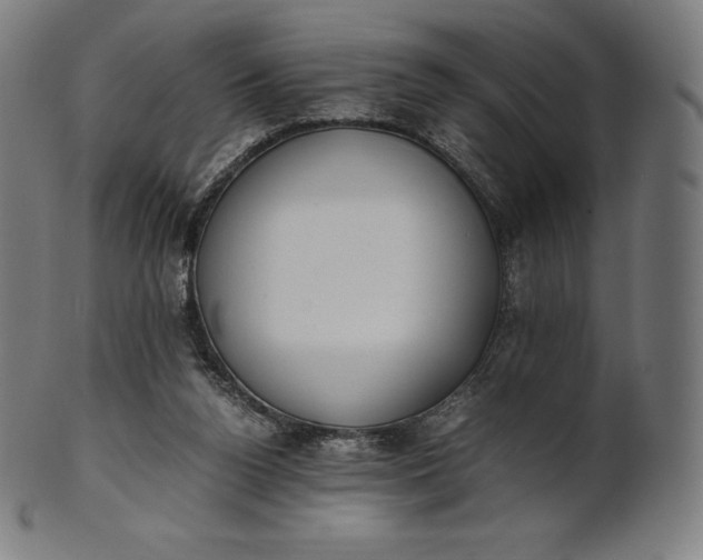 X0000101190160200807110953