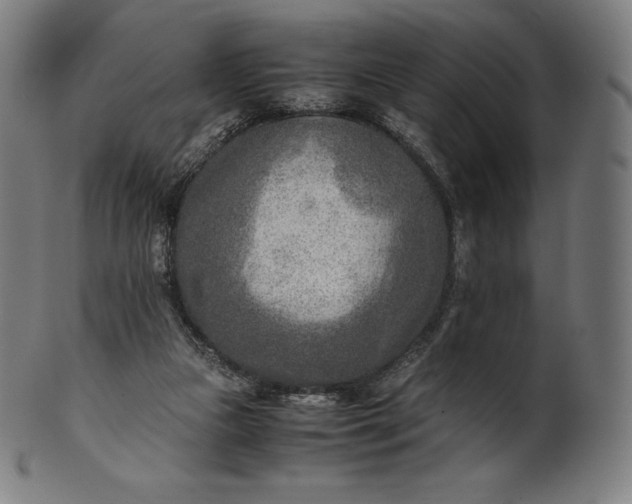 X0000101190161200807110953