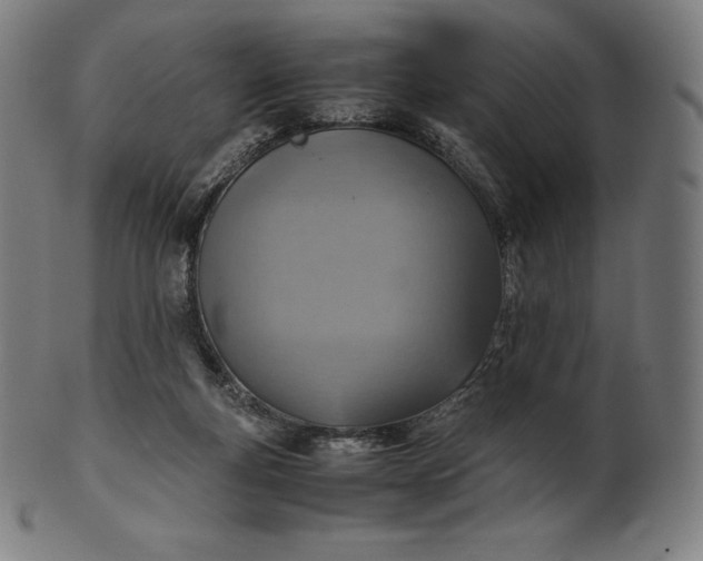 X0000101190163200807110953