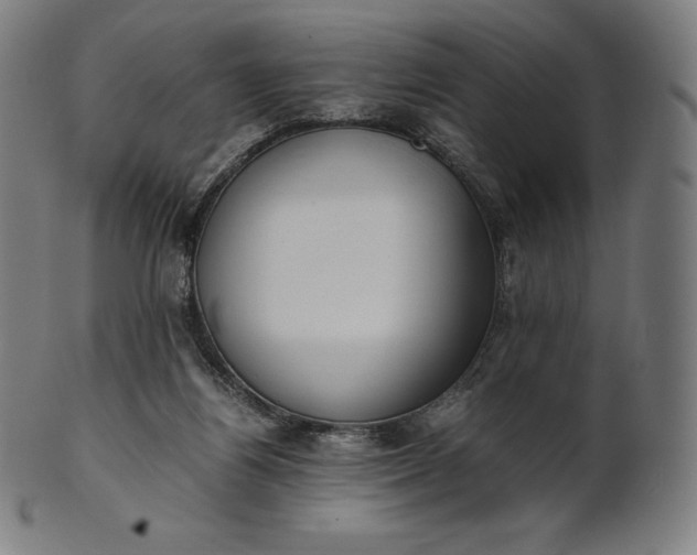 X0000101190164200807110953