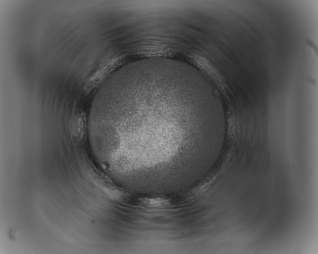 X0000101190165200807110953