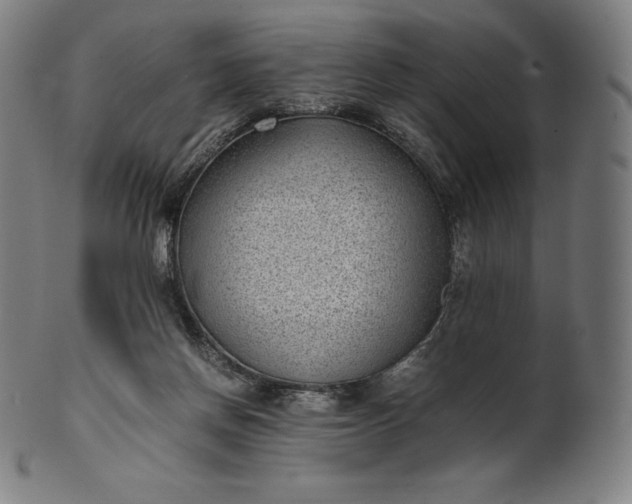 X0000101190166200807110953