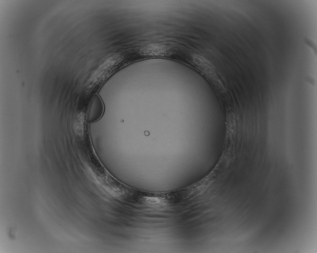 X0000101190167200807110953