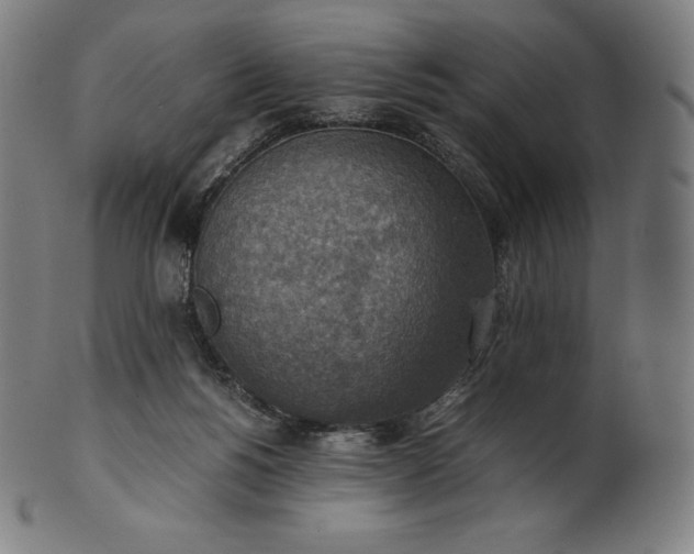 X0000101190168200807110953