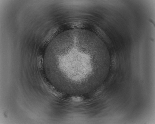 X0000101190169200807110953
