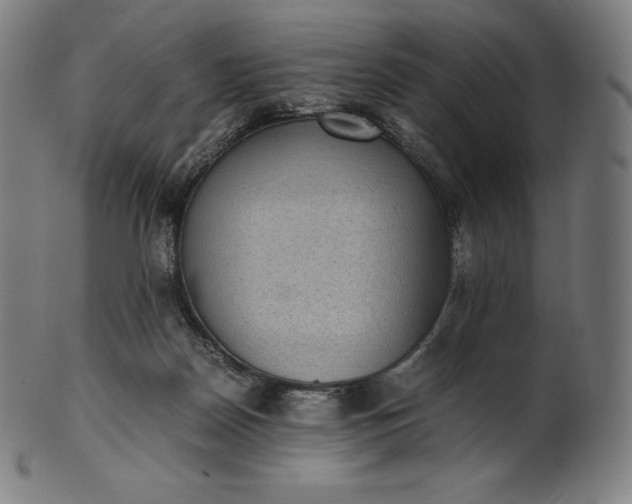 X0000101190170200807110953