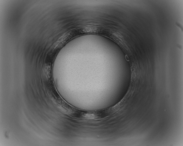 X0000101190171200807110953