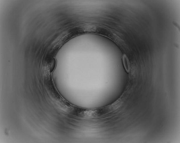 X0000101190172200807110953