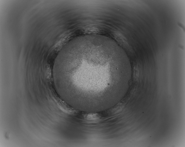 X0000101190173200807110953