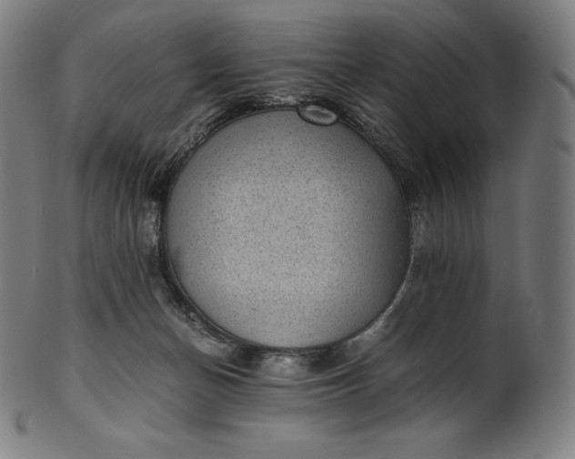 X0000101190174200807110953