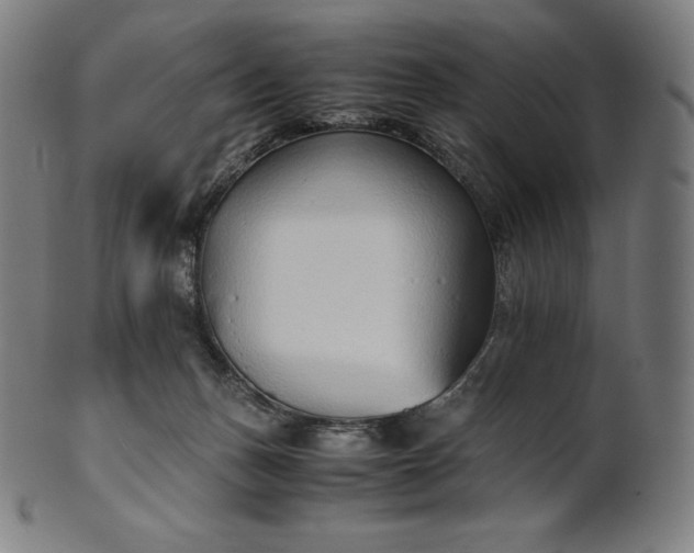 X0000101190175200807110953