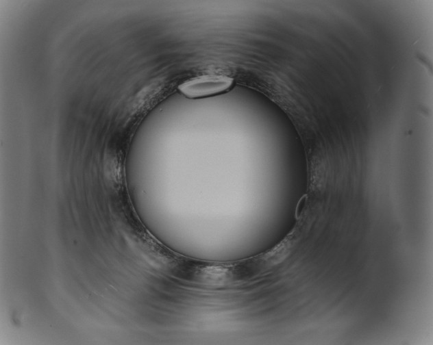 X0000101190176200807110953