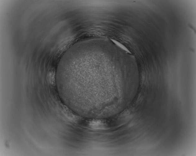X0000101190177200807110953