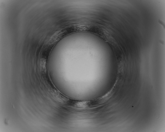 X0000101190178200807110954
