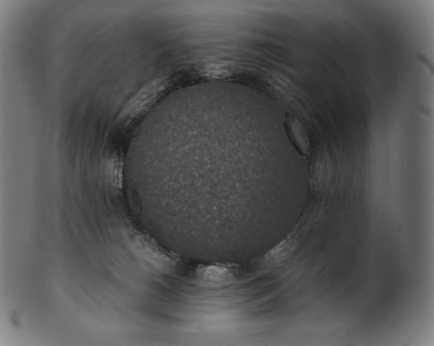 X0000101190180200807110954