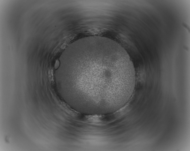 X0000101190182200807110954
