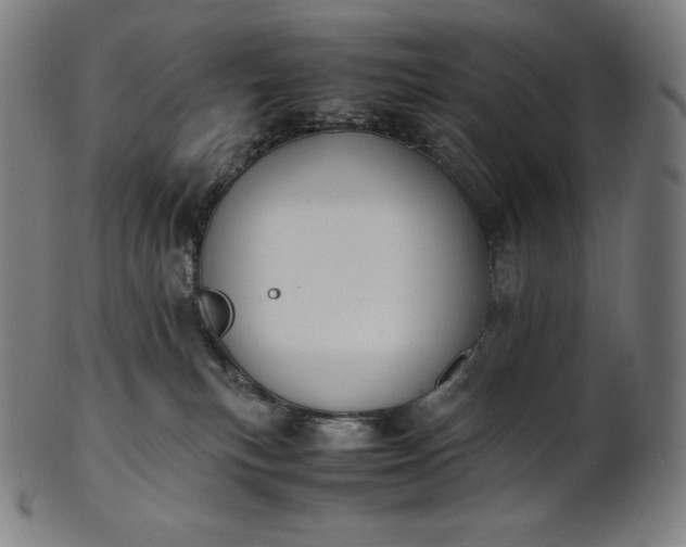 X0000101190183200807110954