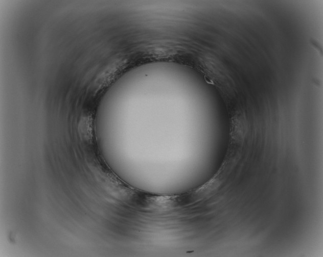 X0000101190184200807110954