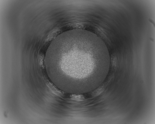 X0000101190185200807110954
