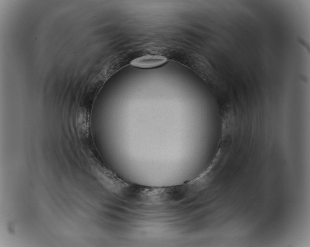 X0000101190186200807110954