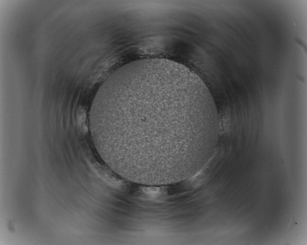 X0000101190187200807110954