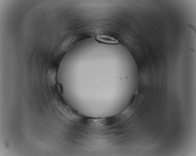 X0000101190188200807110954