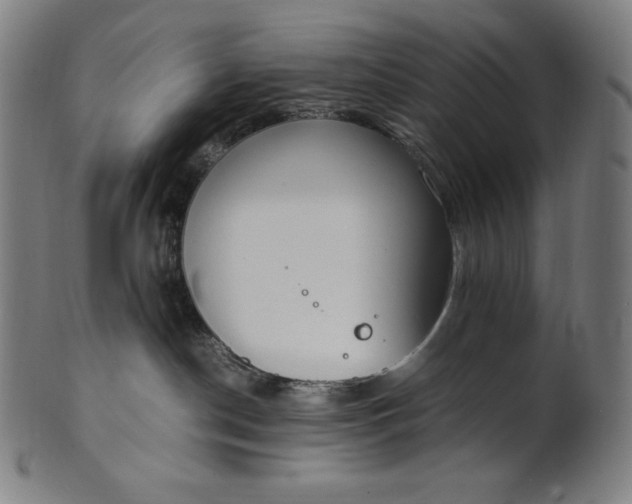 X0000101190190200807110954