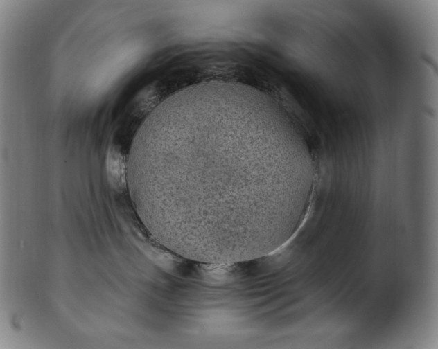 X0000101190191200807110954