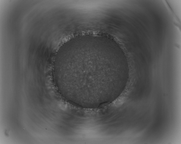 X0000101190192200807110954
