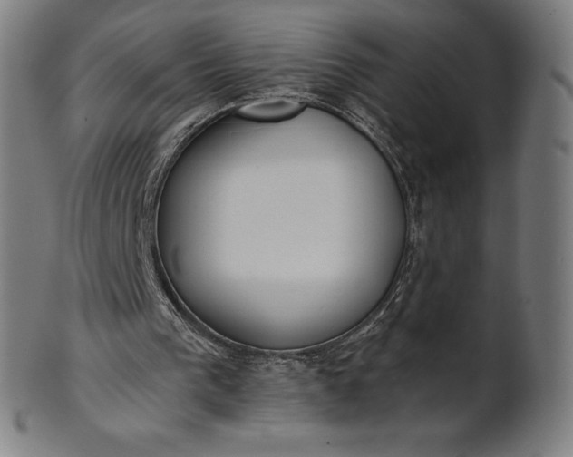 X0000101190193200807110953