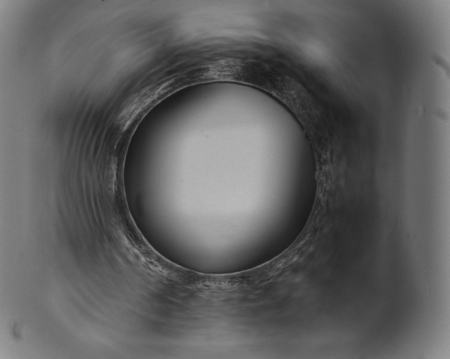 X0000101190194200807110953