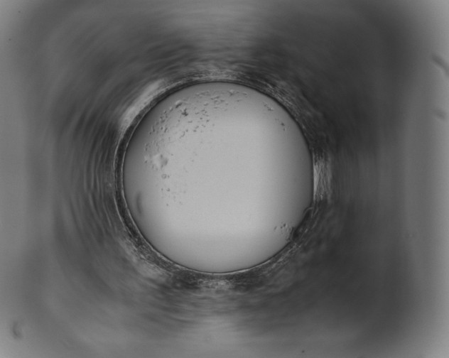 X0000101190195200807110953