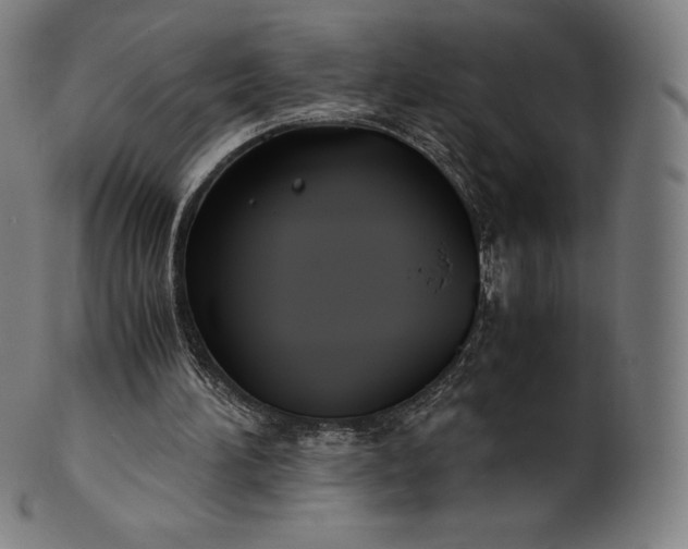 X0000101190196200807110953