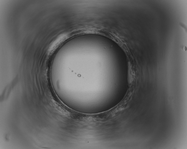 X0000101190197200807110953