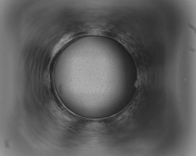 X0000101190198200807110953