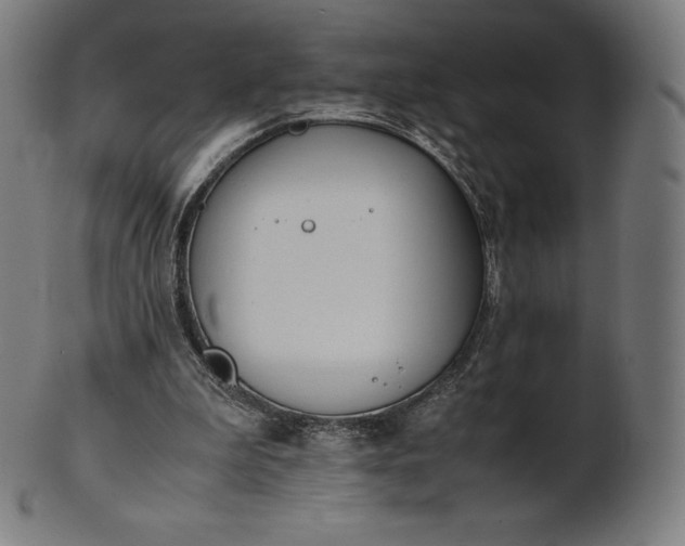 X0000101190199200807110953