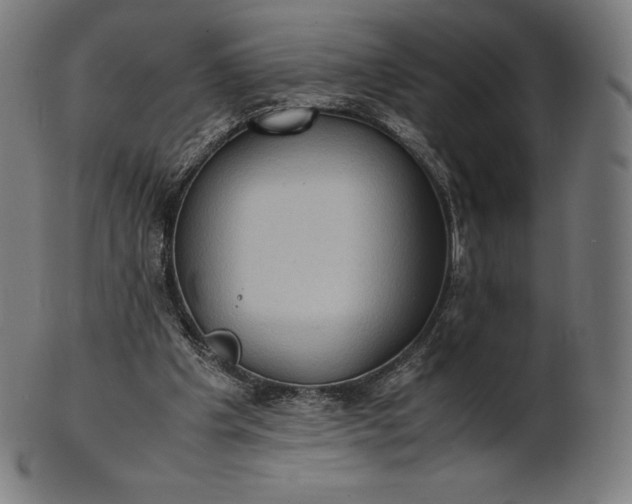 X0000101190201200807110953