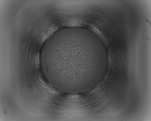 X0000101190202200807110953