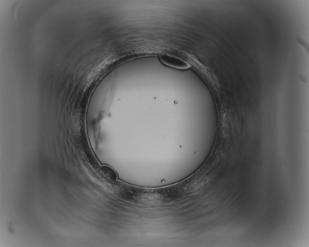 X0000101190203200807110953