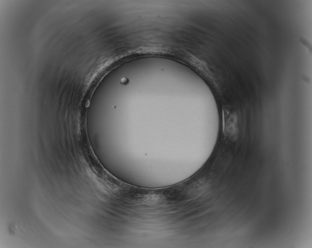 X0000101190204200807110953
