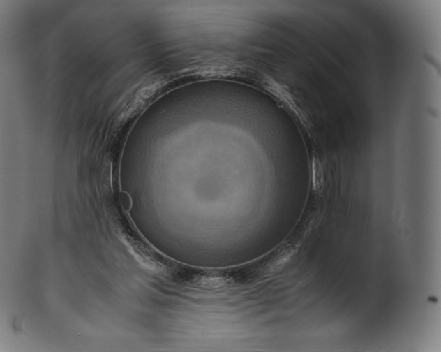 X0000101190205200807110953